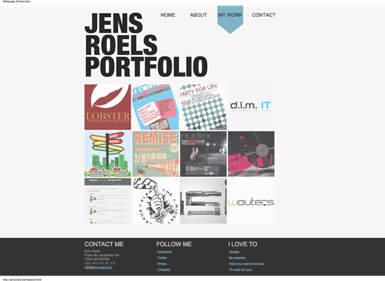 Websites: Jens Roels port folio